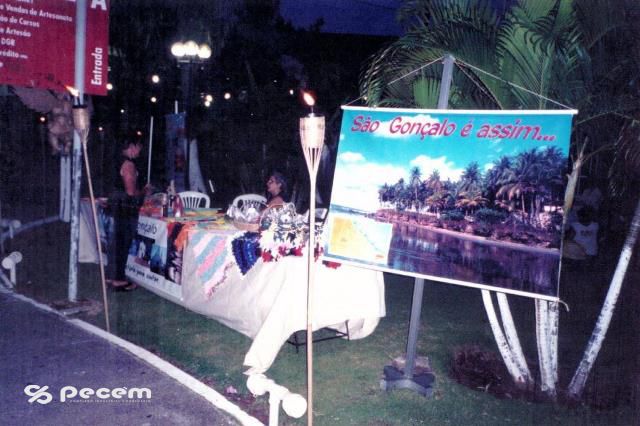 1998 - GRUPO DE TRABALHO DE IDOSOS.
