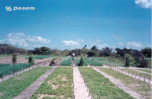 1999 - REASSENTAMENTO COMUNIDADE NOVO TORÉM.