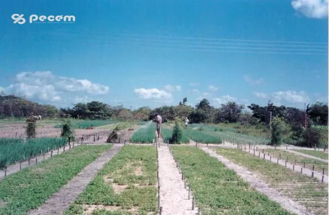 1999 - REASSENTAMENTO COMUNIDADE NOVO TORÉM.