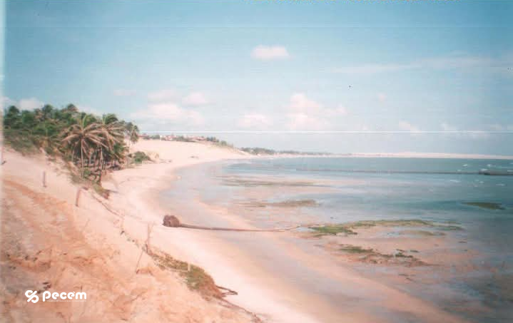 1970 - Final da década de 70 - Ponta do Pecém onde se vê o coqueiral que era propriedade do sr Luiz Ferreira, defronte onde existia curral de pesca onde alguns, principalmente em dias de sábado, se aventuravam em pegar peixes antes do dono chegar.