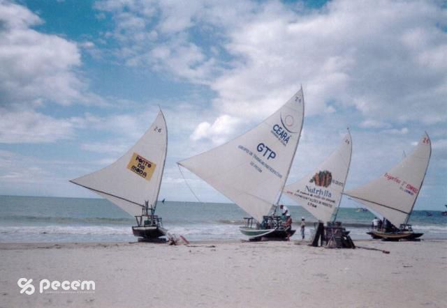 2005 - FESTEJOS DE SÃO PEDRO.