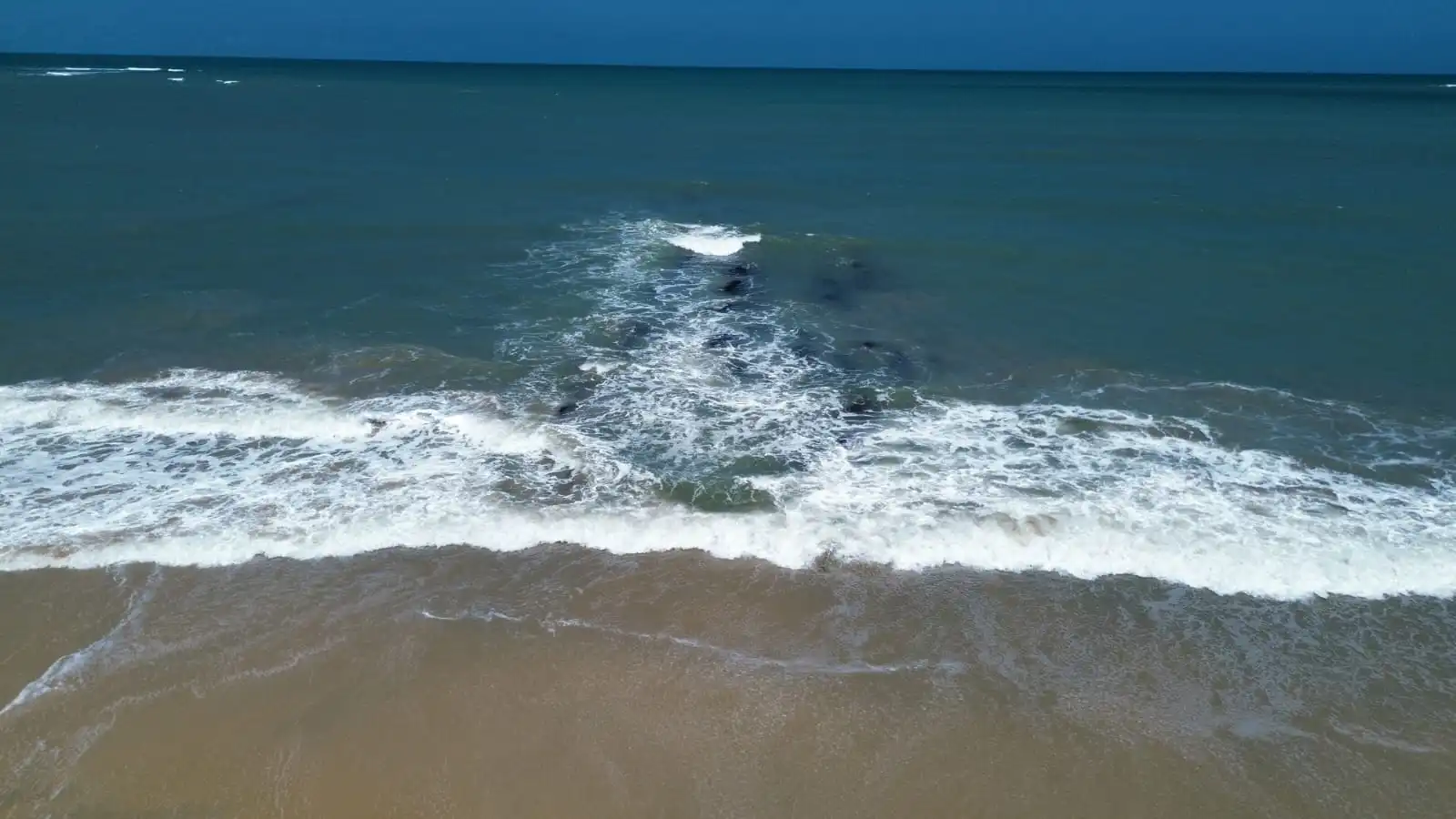 foto praia 2016