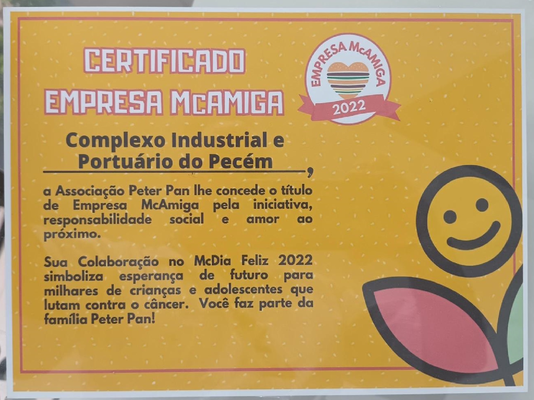 2022 – Certificado Empresa McAmiga – Associação Peter Pan